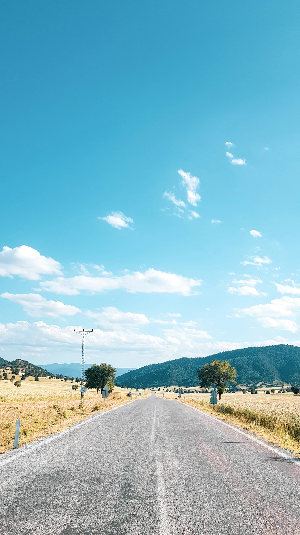 green trees on brown field under blue sky during daytime