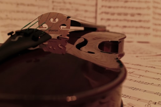 A close-up view of the bridge and body of a violin with a focus on the strings and the 'Stentor' brand name. The background comprises blurred music sheets with visible musical notes, creating an artistic and classical ambiance.