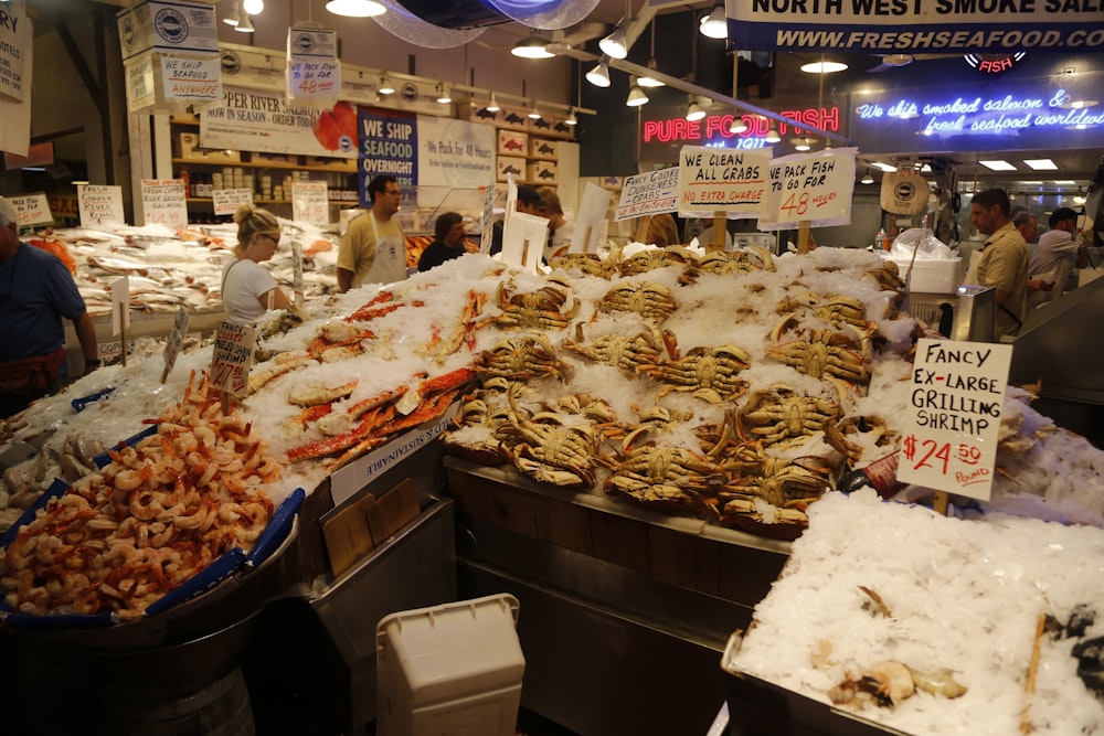 crâne d’animal blanc et brun exposé