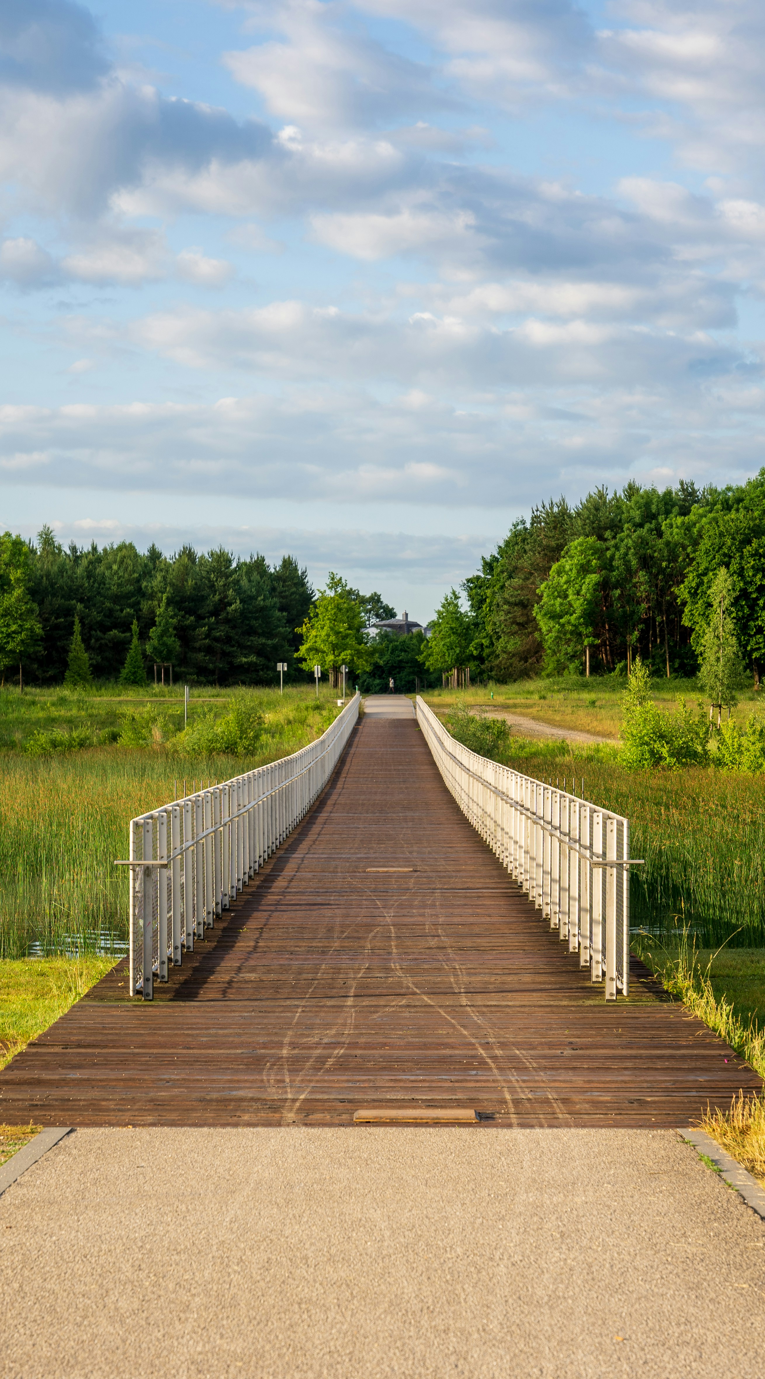 Photo by ps_composition