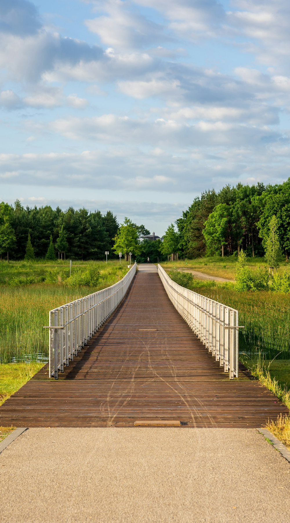 brown wooden bridge over green grass field during daytime