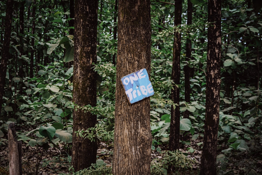 segnaletica blu e bianca su tronco d'albero marrone