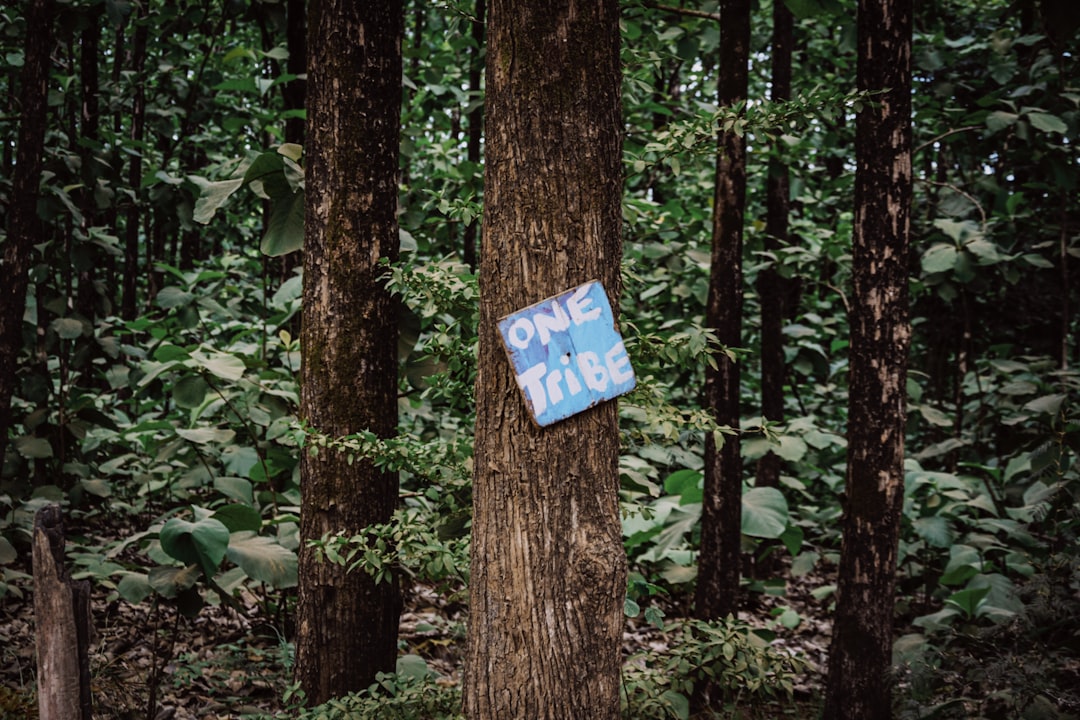 blue and white signage on brown tree trunk
