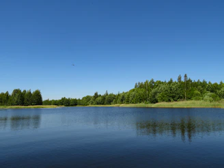 A tranquil lake reflecting surrounding pine trees under a clear blue sky.