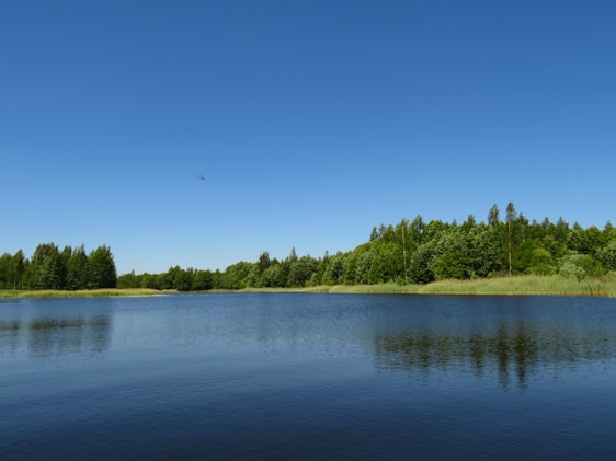 A tranquil lake surrounded by lush greenery under a clear blue sky.
