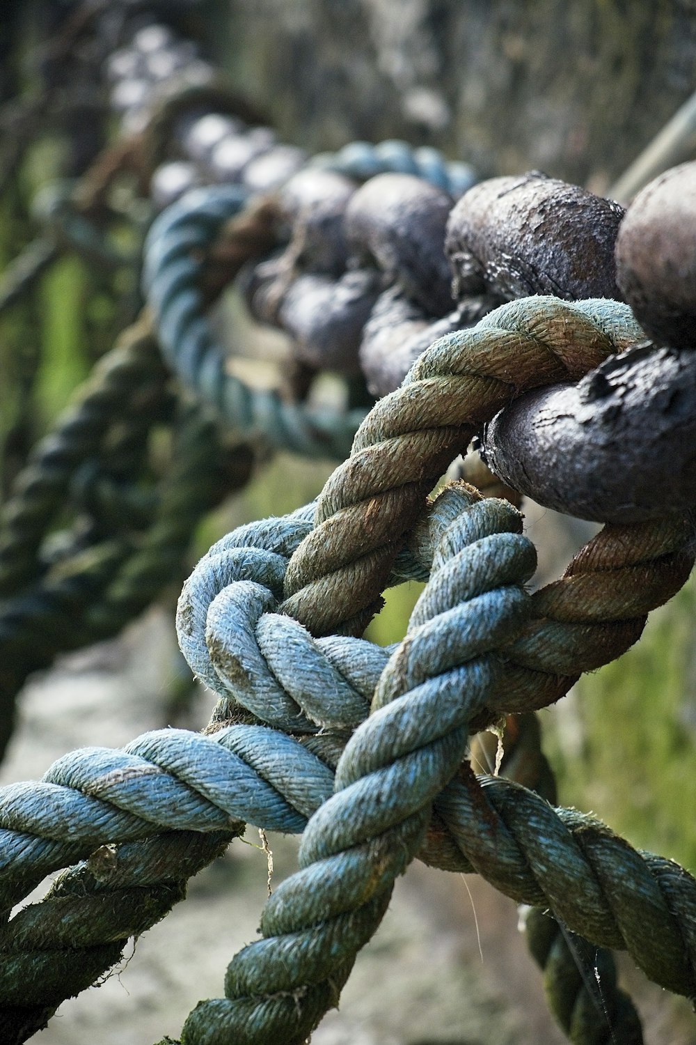 corde bleue et verte sur bâton en bois marron