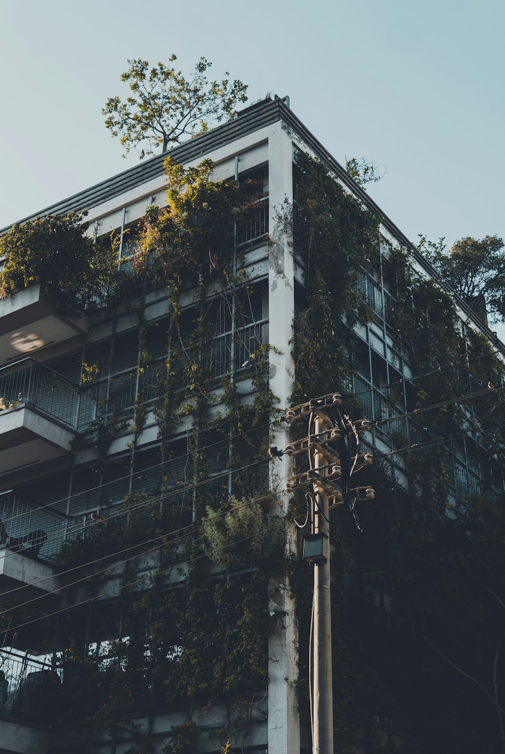 Edificio de hormigón blanco y negro