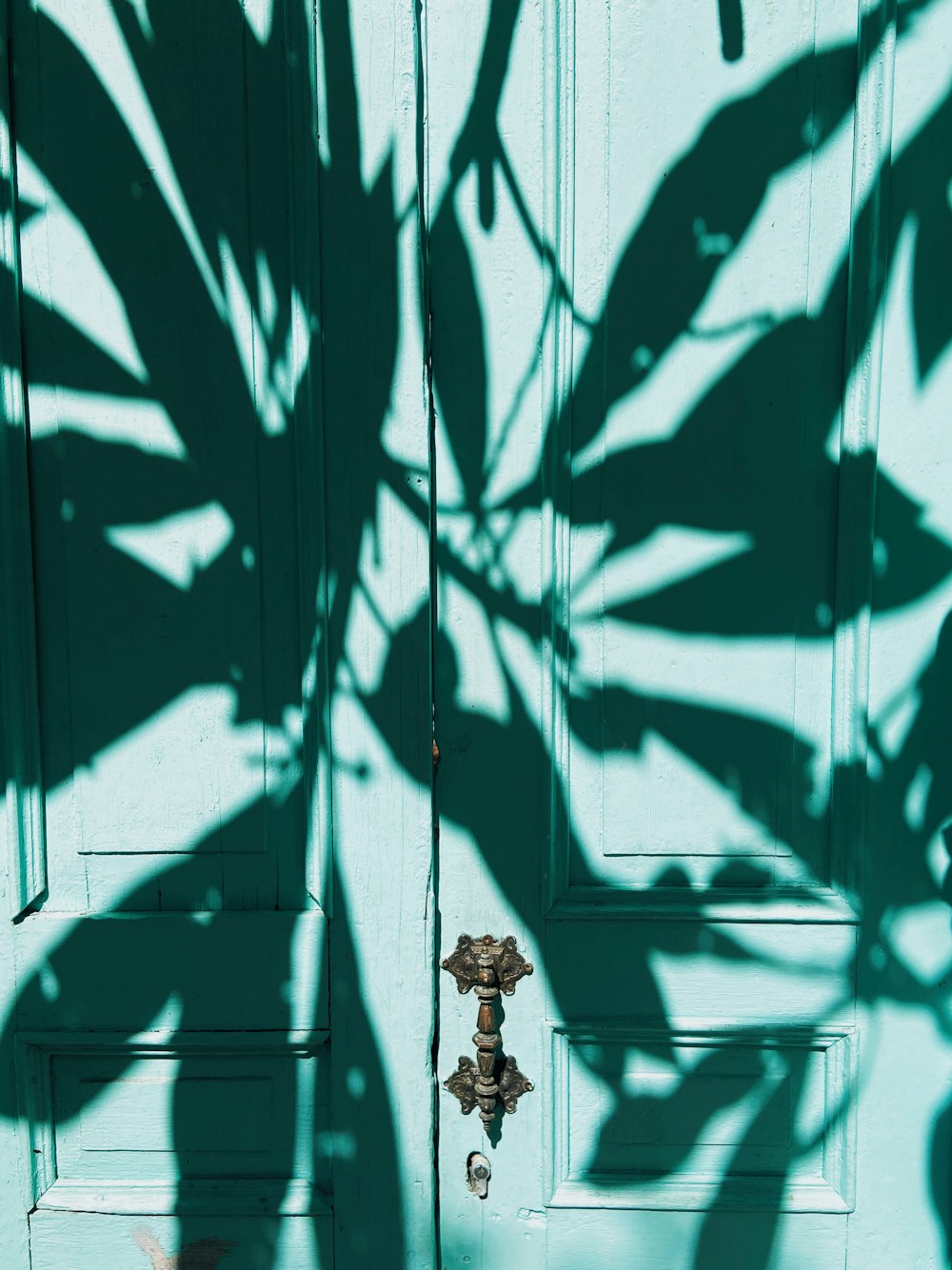 green and white wooden wall