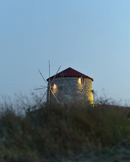 A warm, sunlit shot of a traditional stone mill used for pressing colza seeds on the family farm.