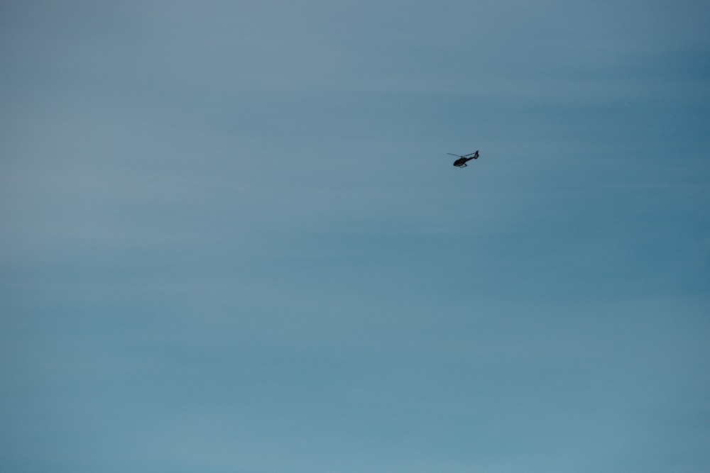 black bird flying under blue sky during daytime