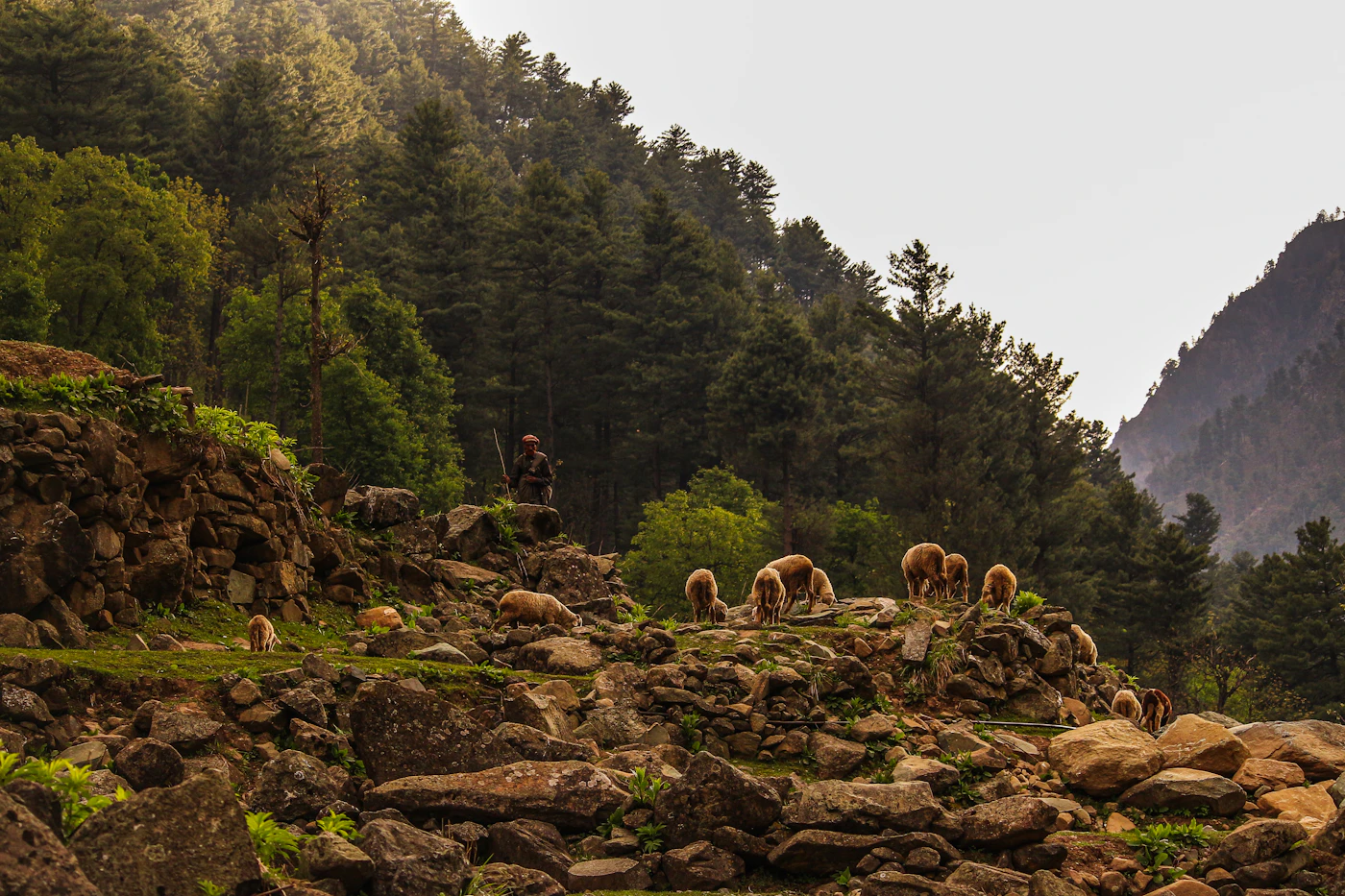 Jammu