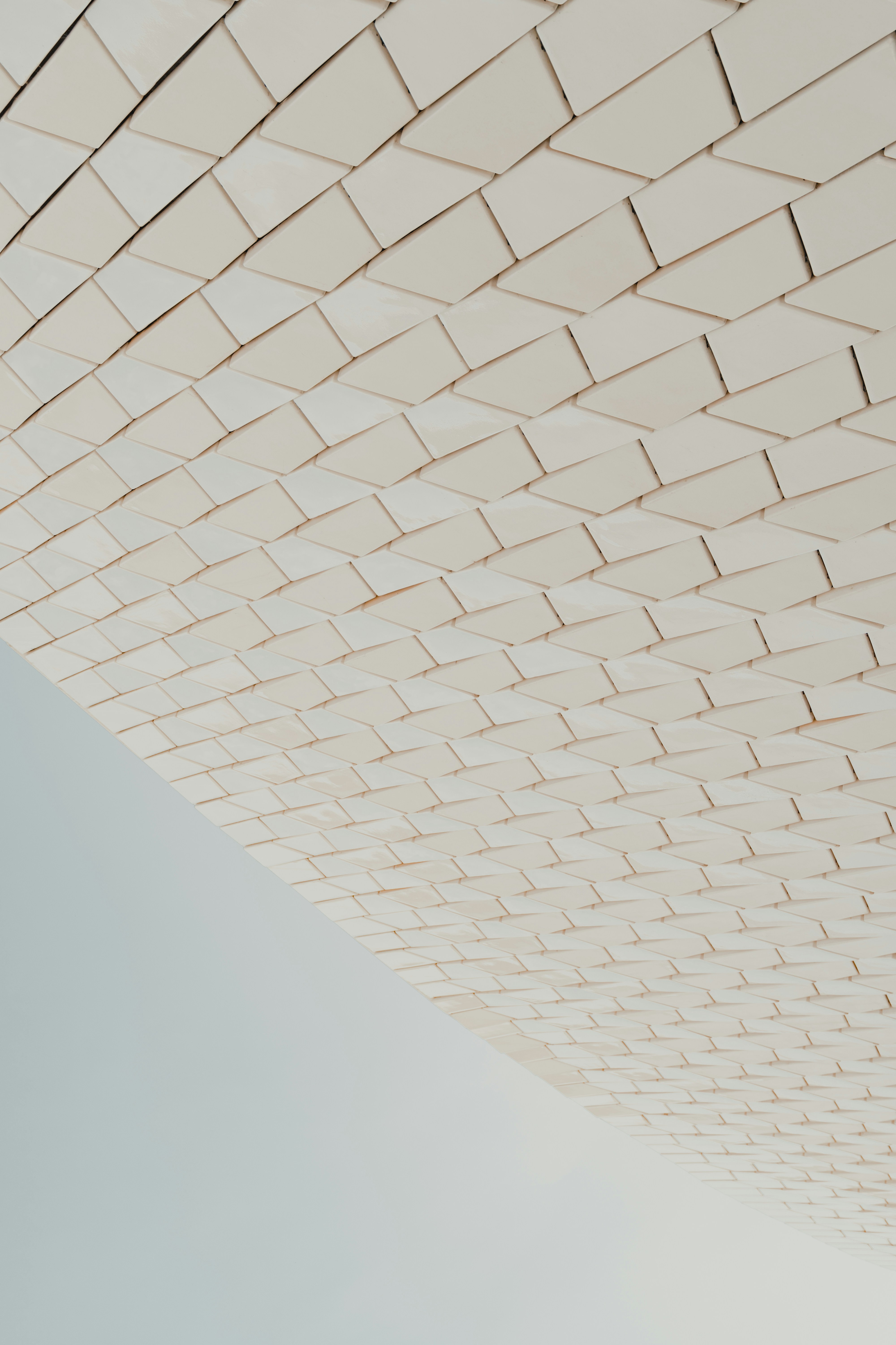 Photo by michielannaert