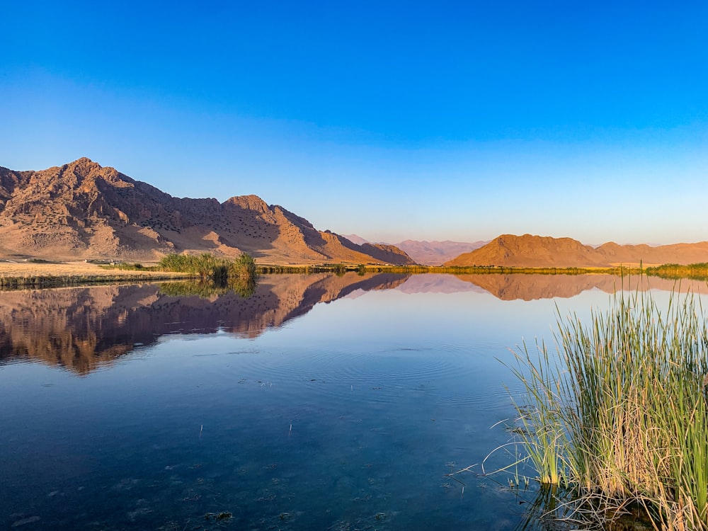 green grass on lake near brown mountains under blue sky during daytime