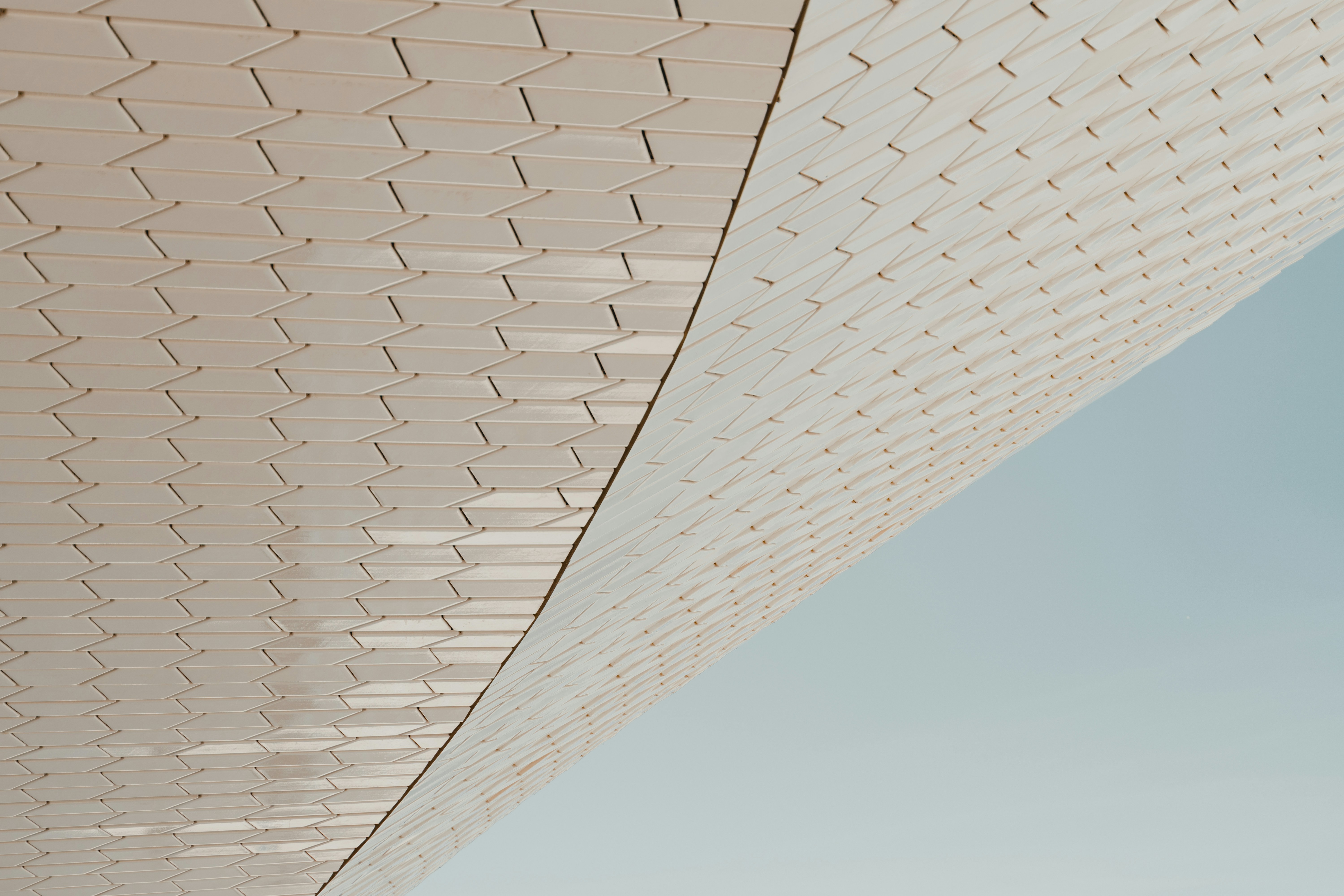 Photo by michielannaert