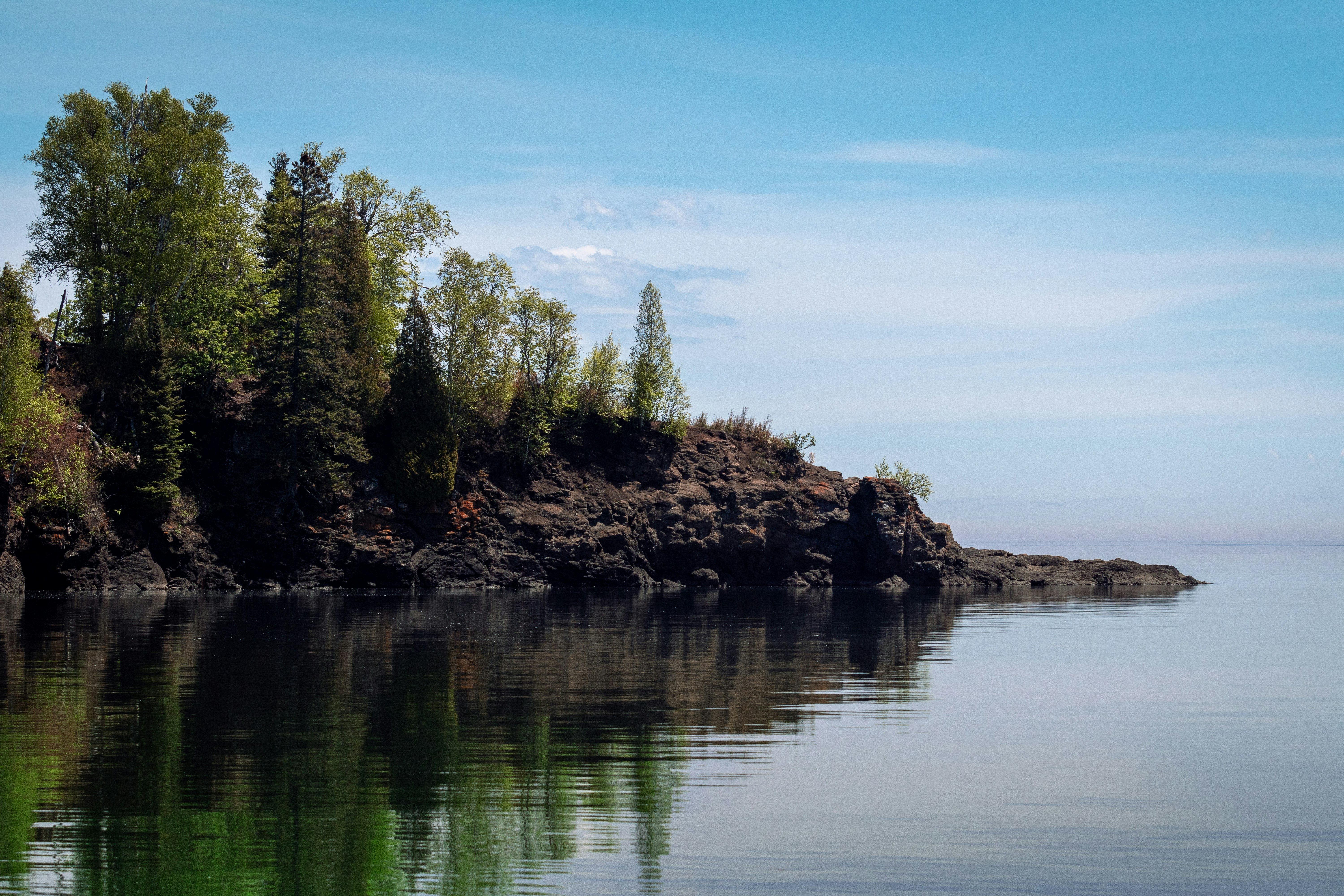 green trees beside body of water during daytime