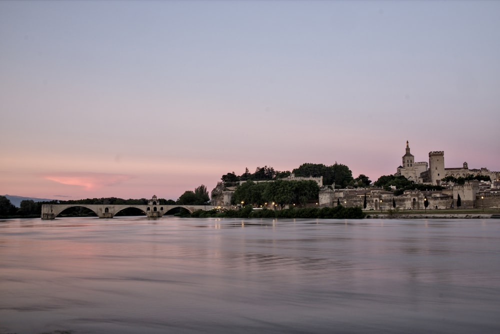 specchio d'acqua vicino agli alberi durante il giorno