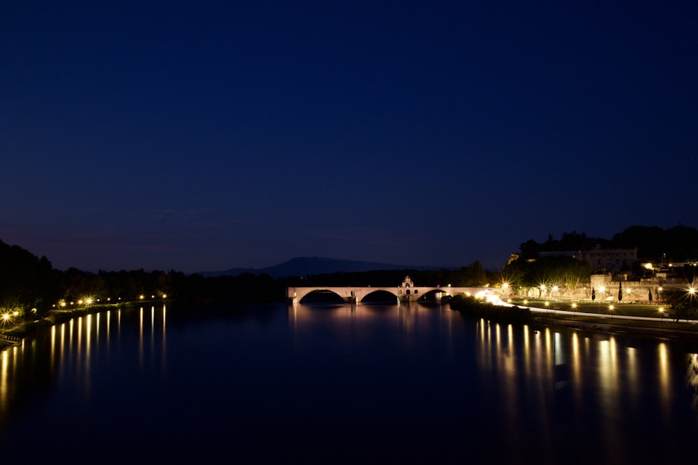 silhouette of trees near body of water during night time