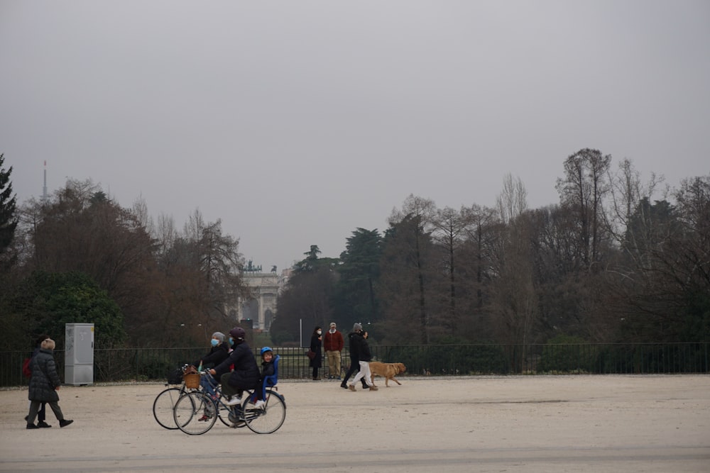 people riding bicycles on road near bare trees during daytime