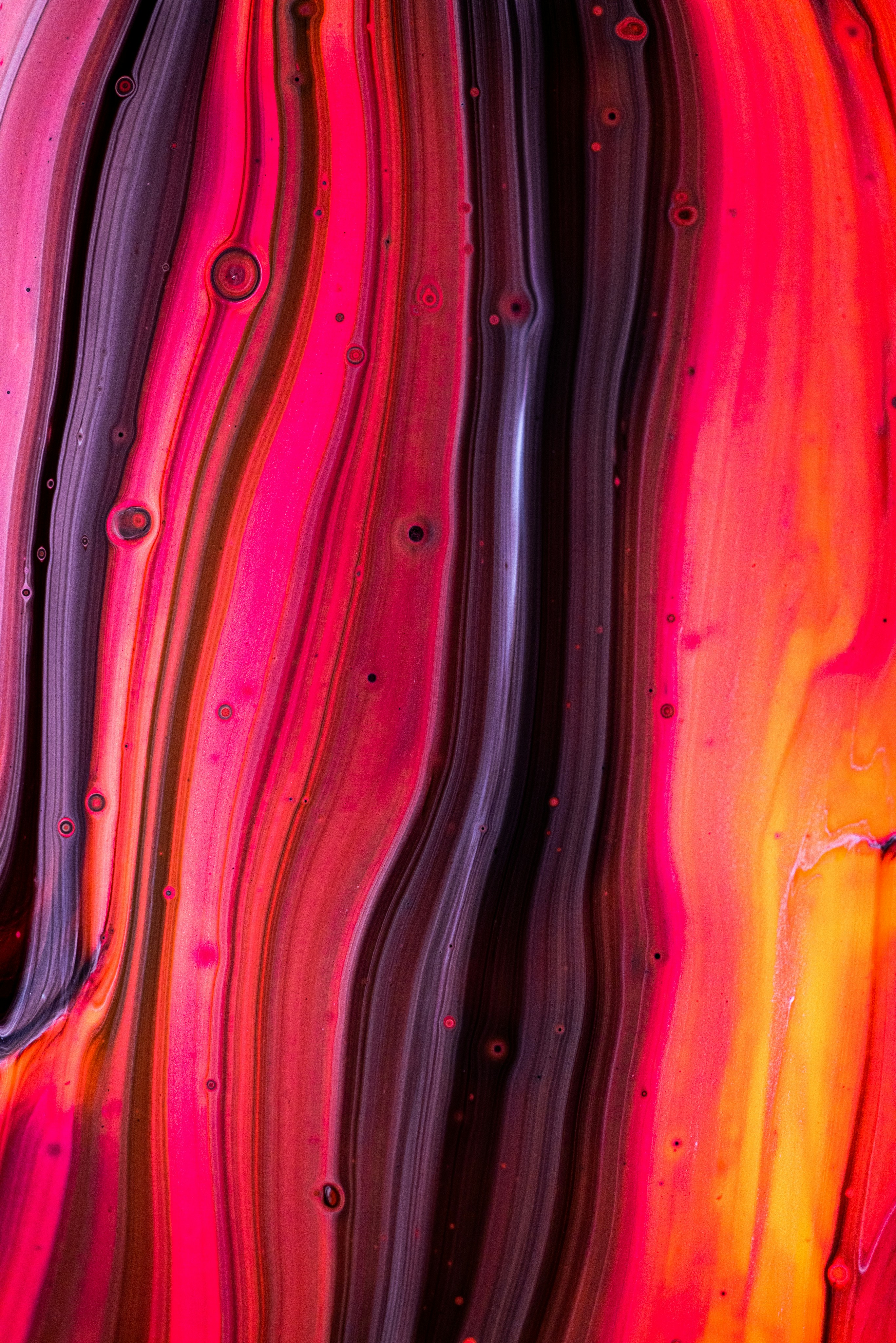 Photo by solenfeyissa