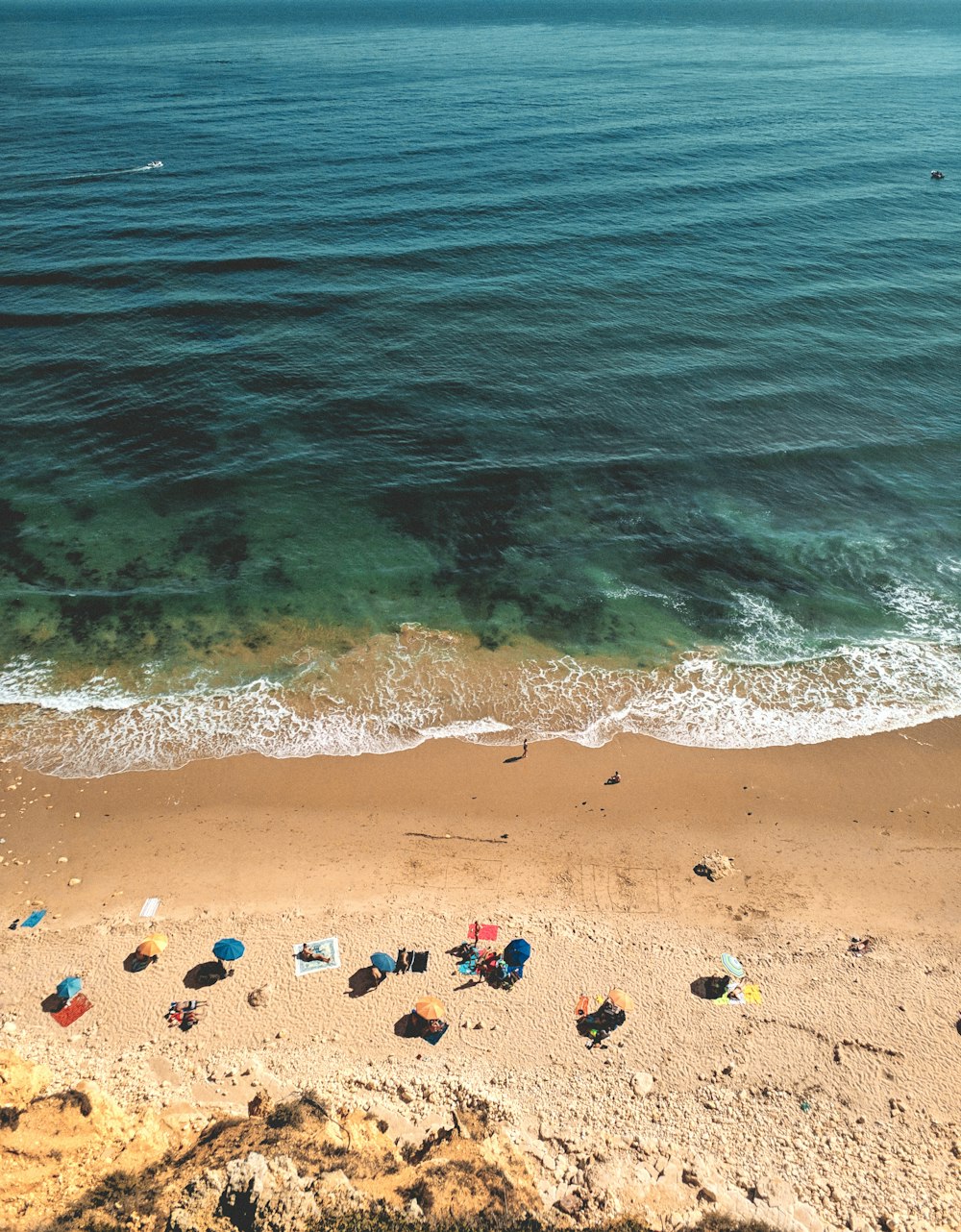 people on beach during daytime