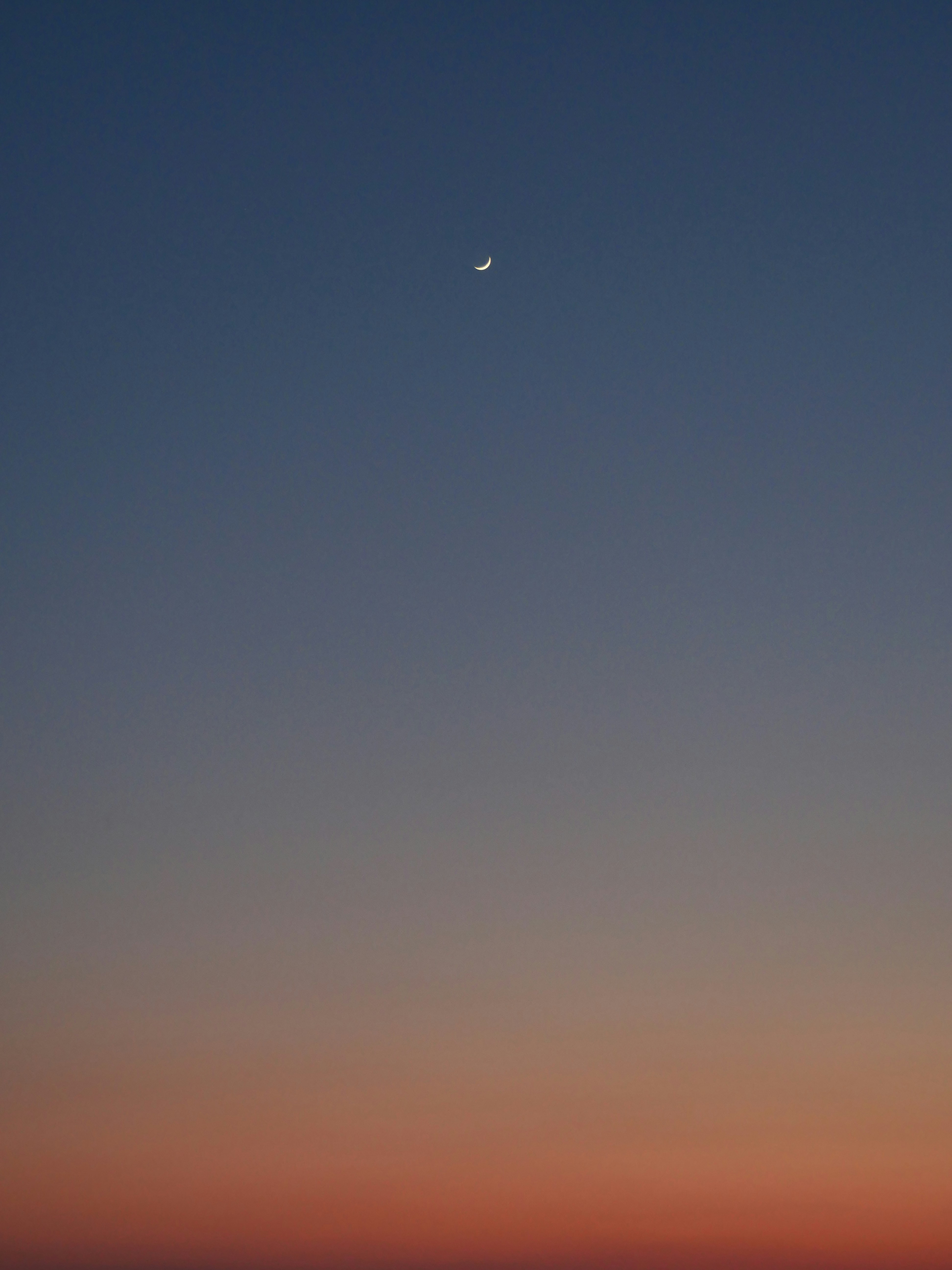 Photo by nimbus_vulpis