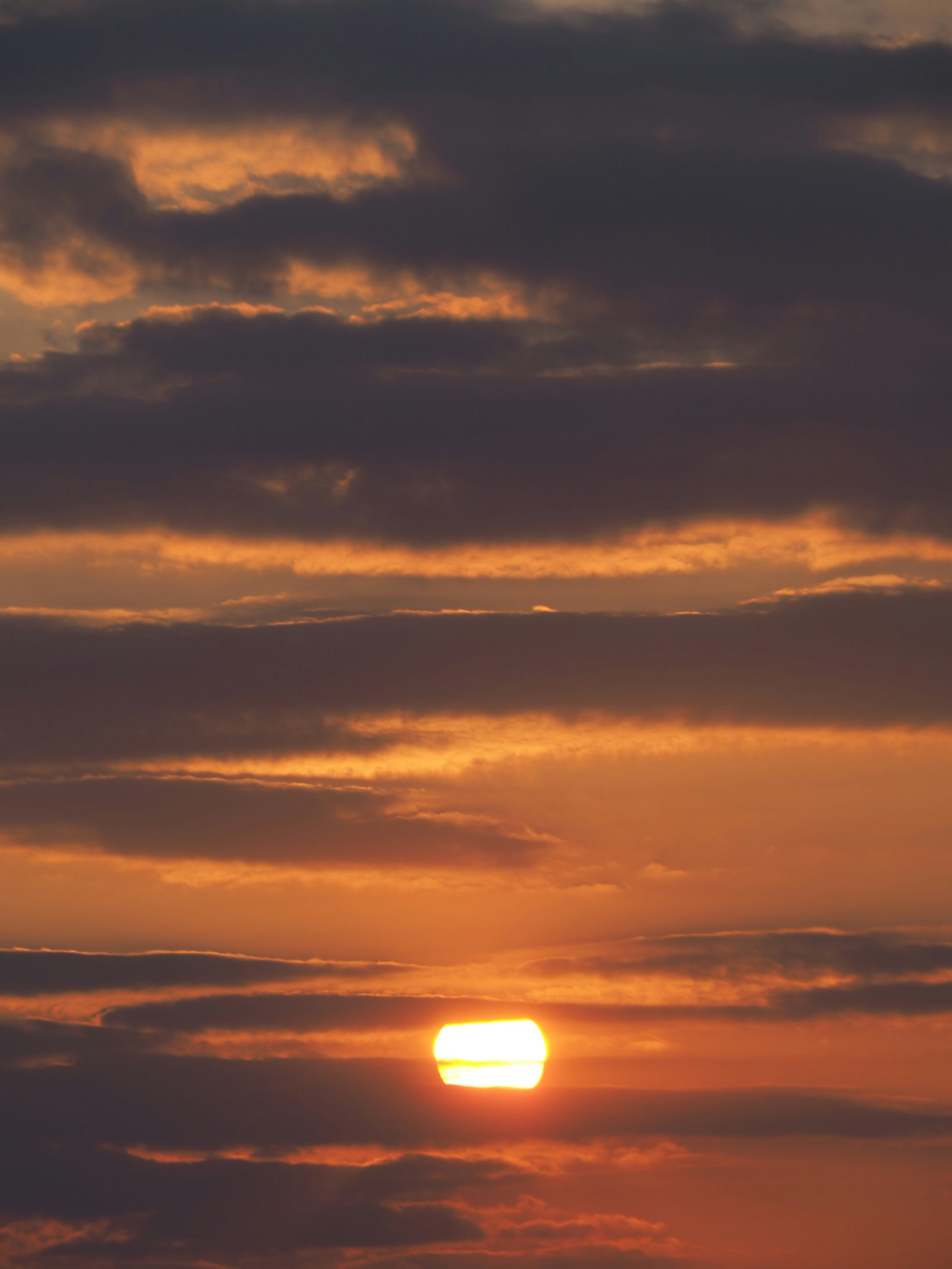 Photo by nimbus_vulpis