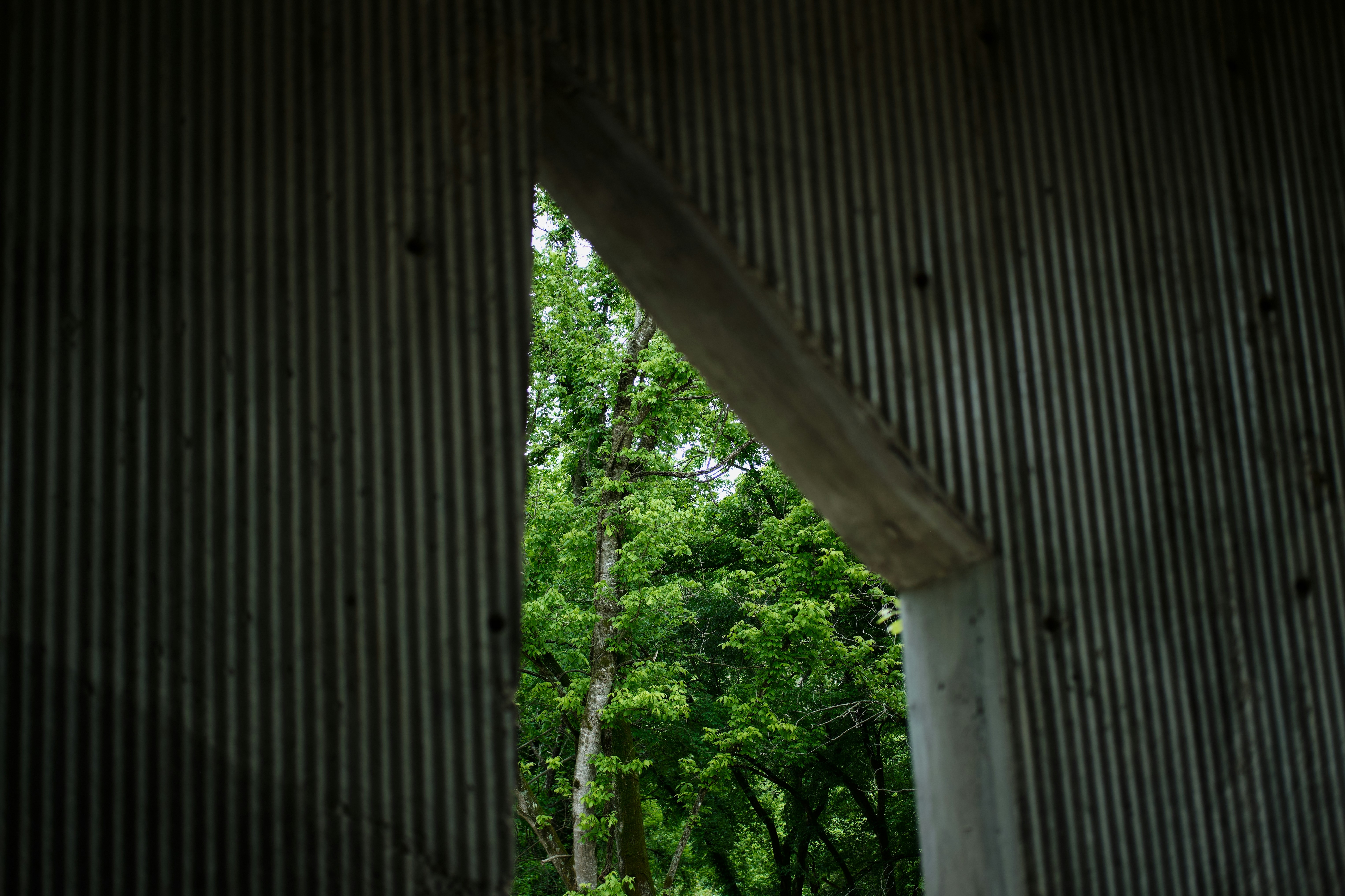 Photo by toeljimothy