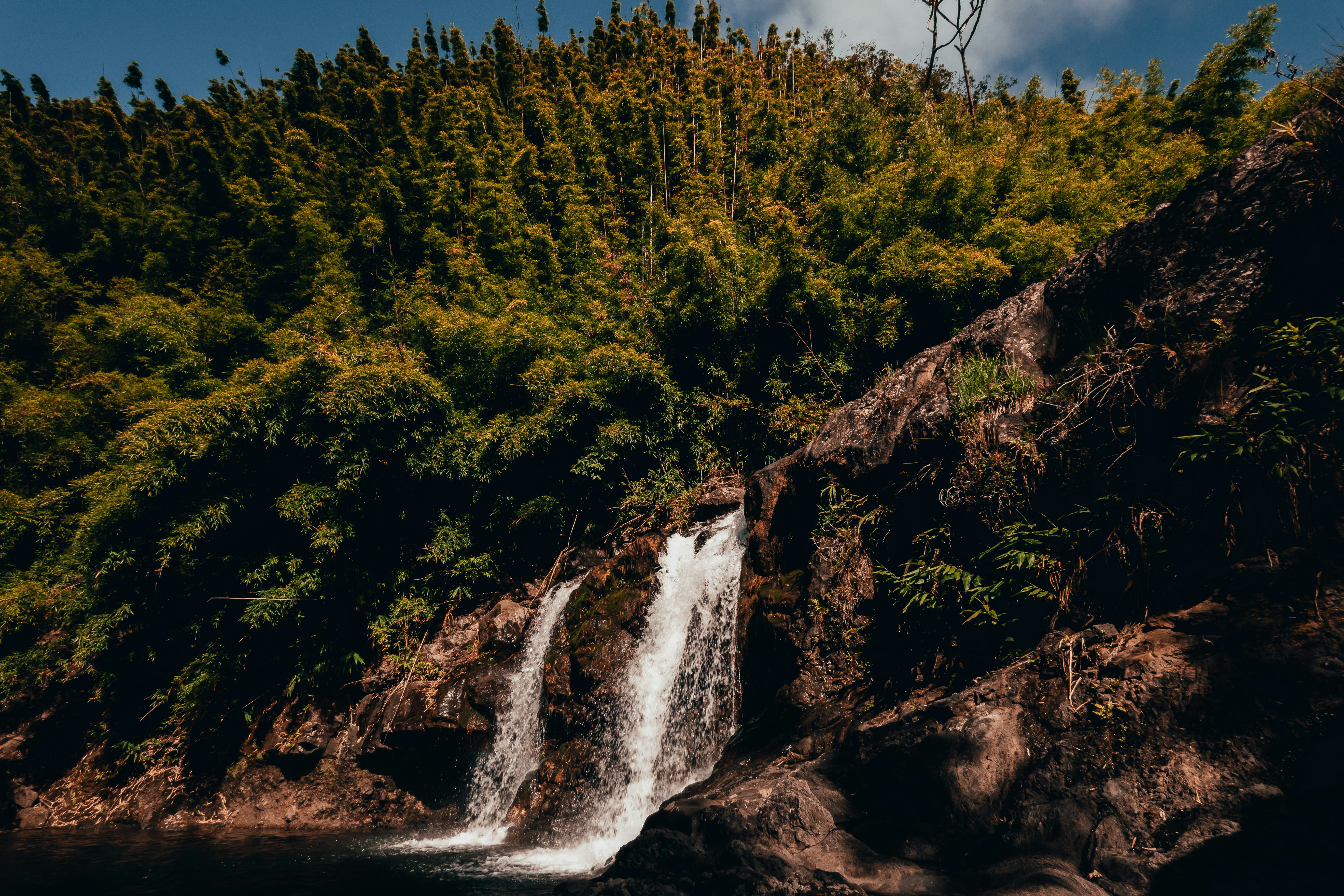 Photo by kalaniparker