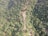 An aerial view of a dense tropical forest with a meandering path carved through it. The vegetation is lush and green, interspersed with varied trees and plants. The path appears to be a series of terraces or steps, possibly agricultural. Small structures are visible amongst the greenery, indicating human presence.