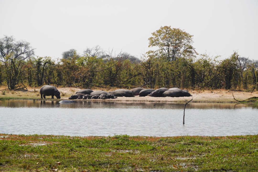 Lake photo spot Okavango Delta Botswana