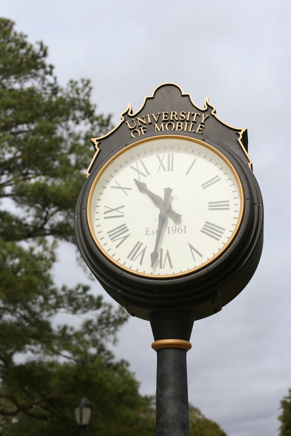 black and white analog clock at 10 00