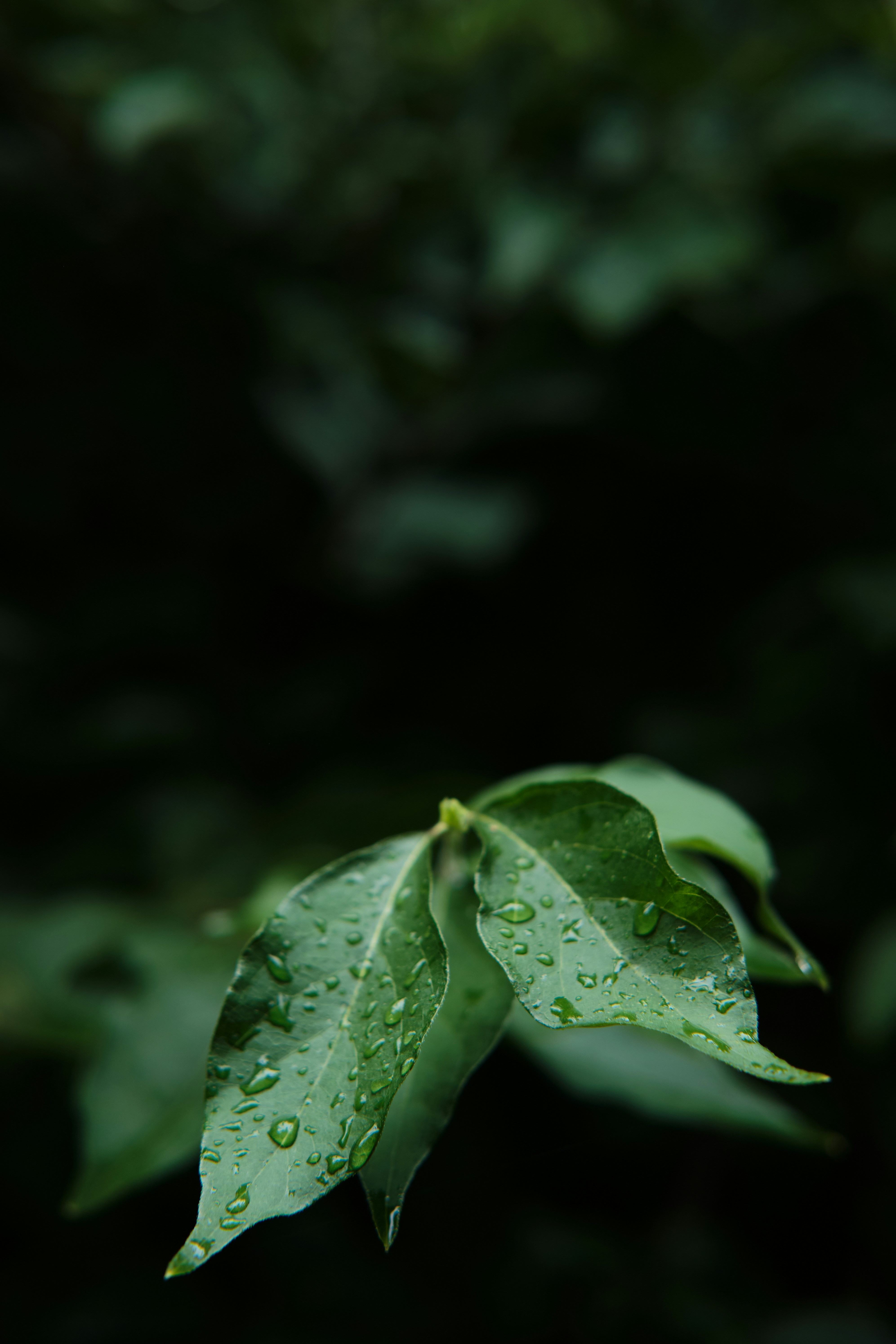 Photo by toeljimothy