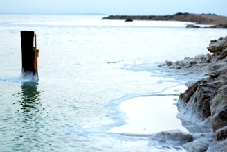 A tranquil seascape with calm, light green water extending to the horizon. There is a wooden post partially submerged in the water with salt deposits visible around its base. The shoreline features rocky formations, covered in white salt crusts, adding texture to the scene. The sky is overcast, lending a soft, muted atmosphere to the environment.