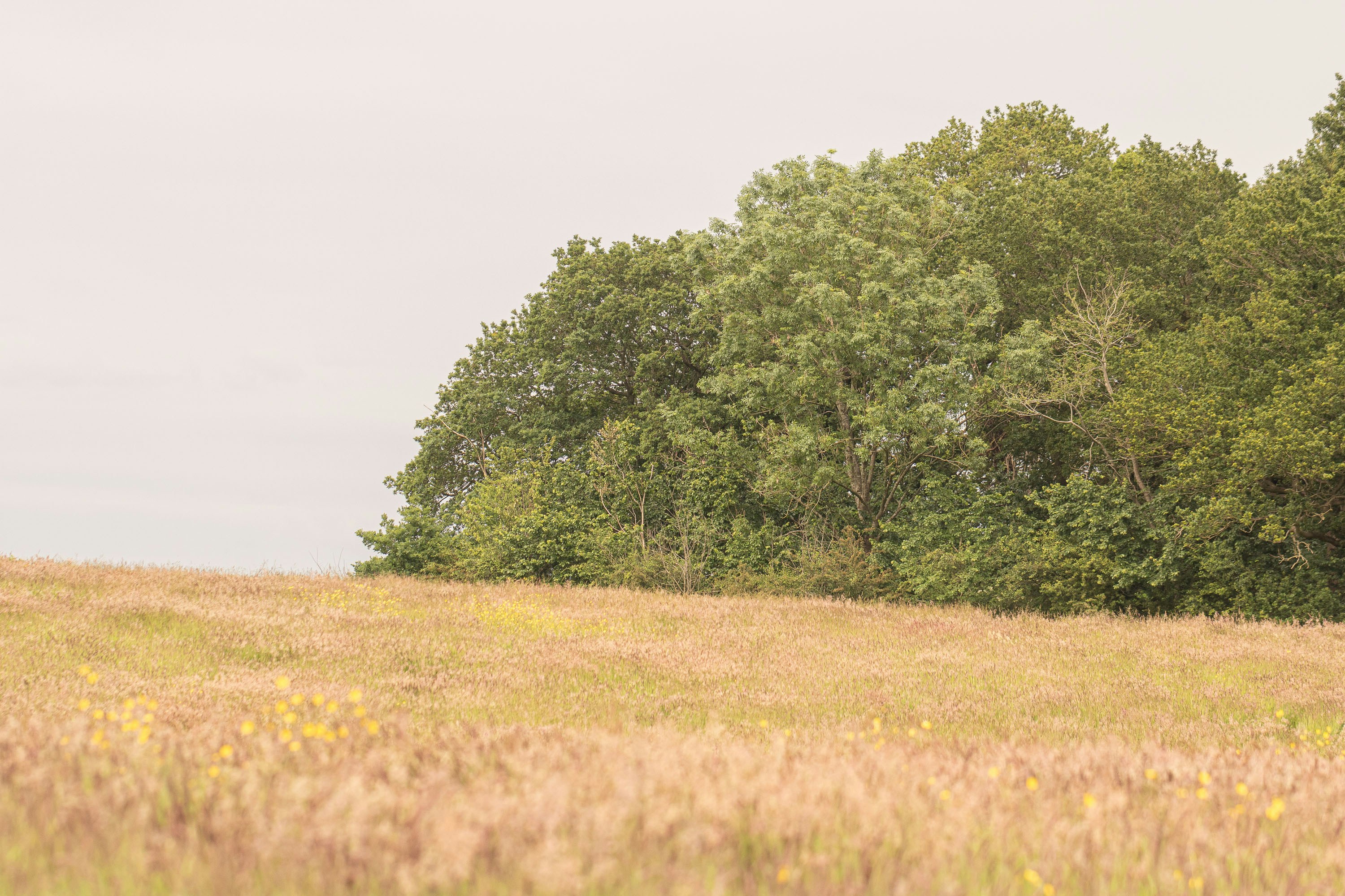 Photo by itscakefortea