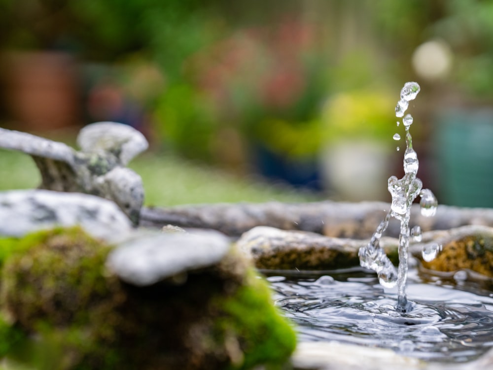 acqua che cade dal tronco di legno marrone