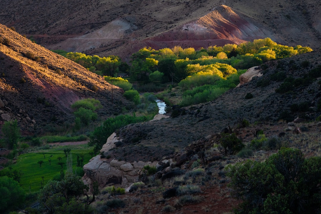 green and brown mountain near lake during daytime