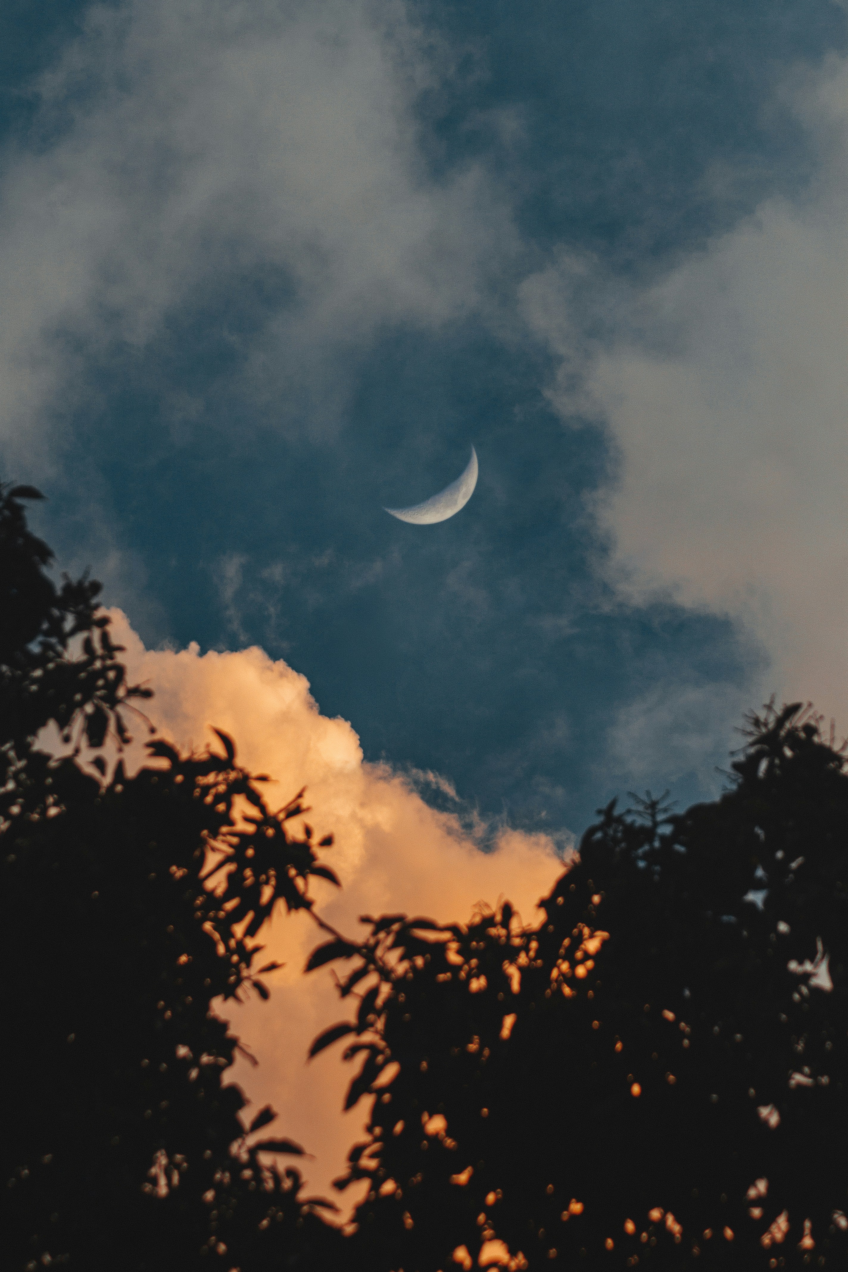 白い雲と青い空