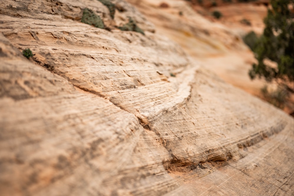 brown rock formation during daytime