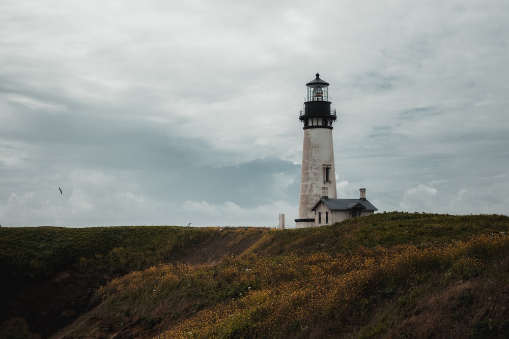 white and black lighthouse on green grass field under cloudy sky during daytime