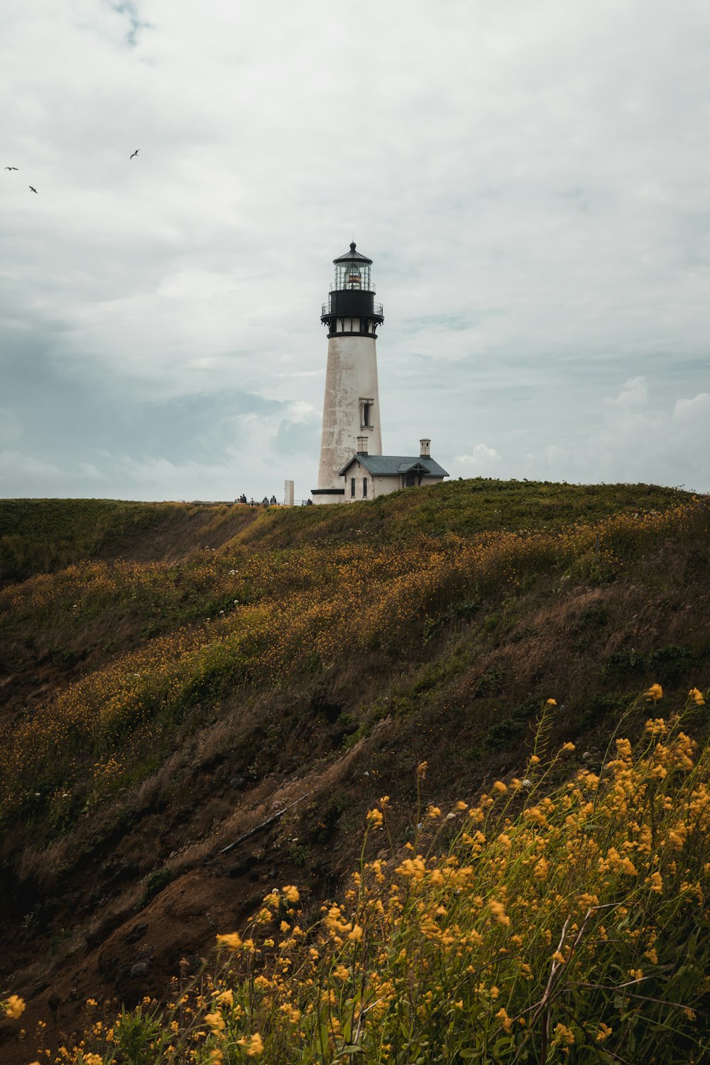 white and black lighthouse on green grass field under cloudy sky during daytime