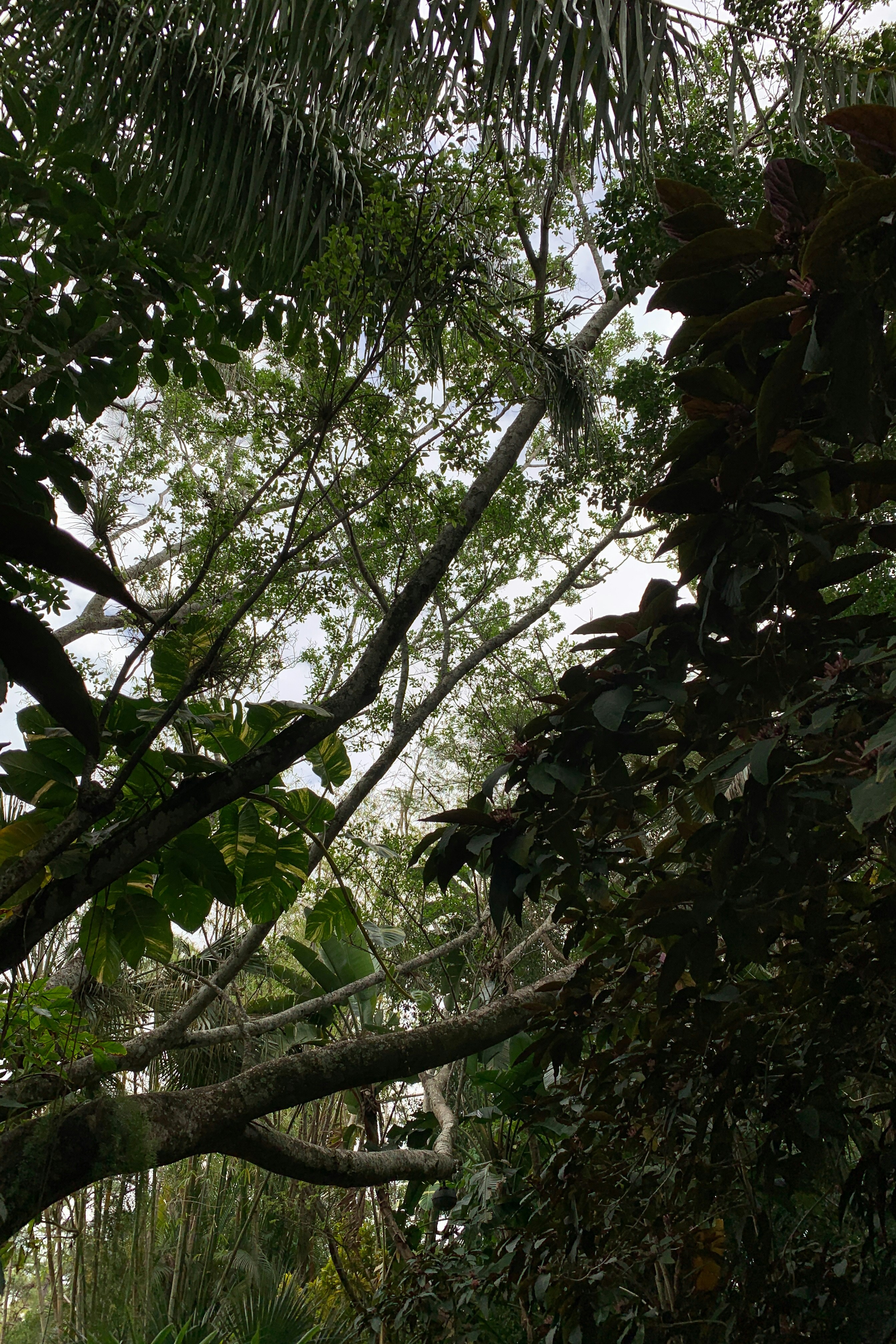 Photo by santiagomunz