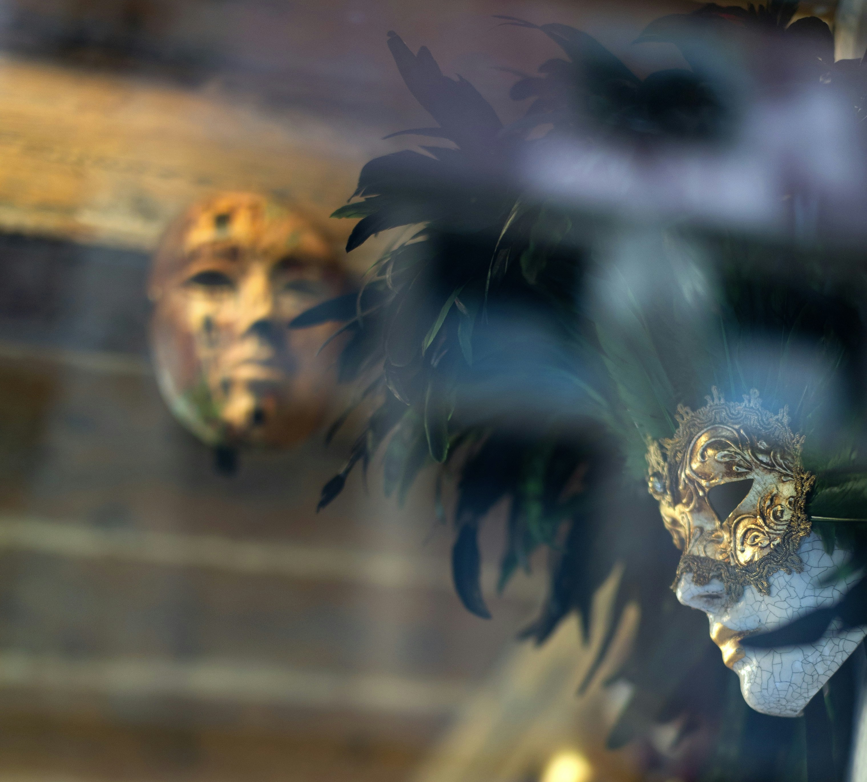 Midnight Velvet Mask