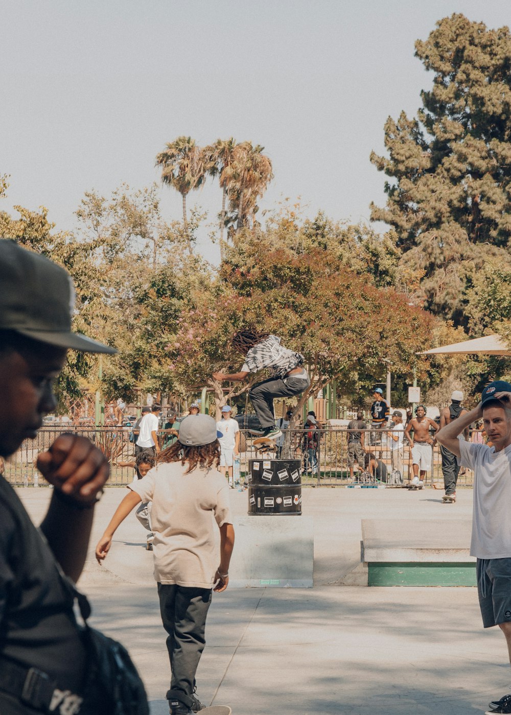 people standing on gray concrete pavement near green trees during daytime