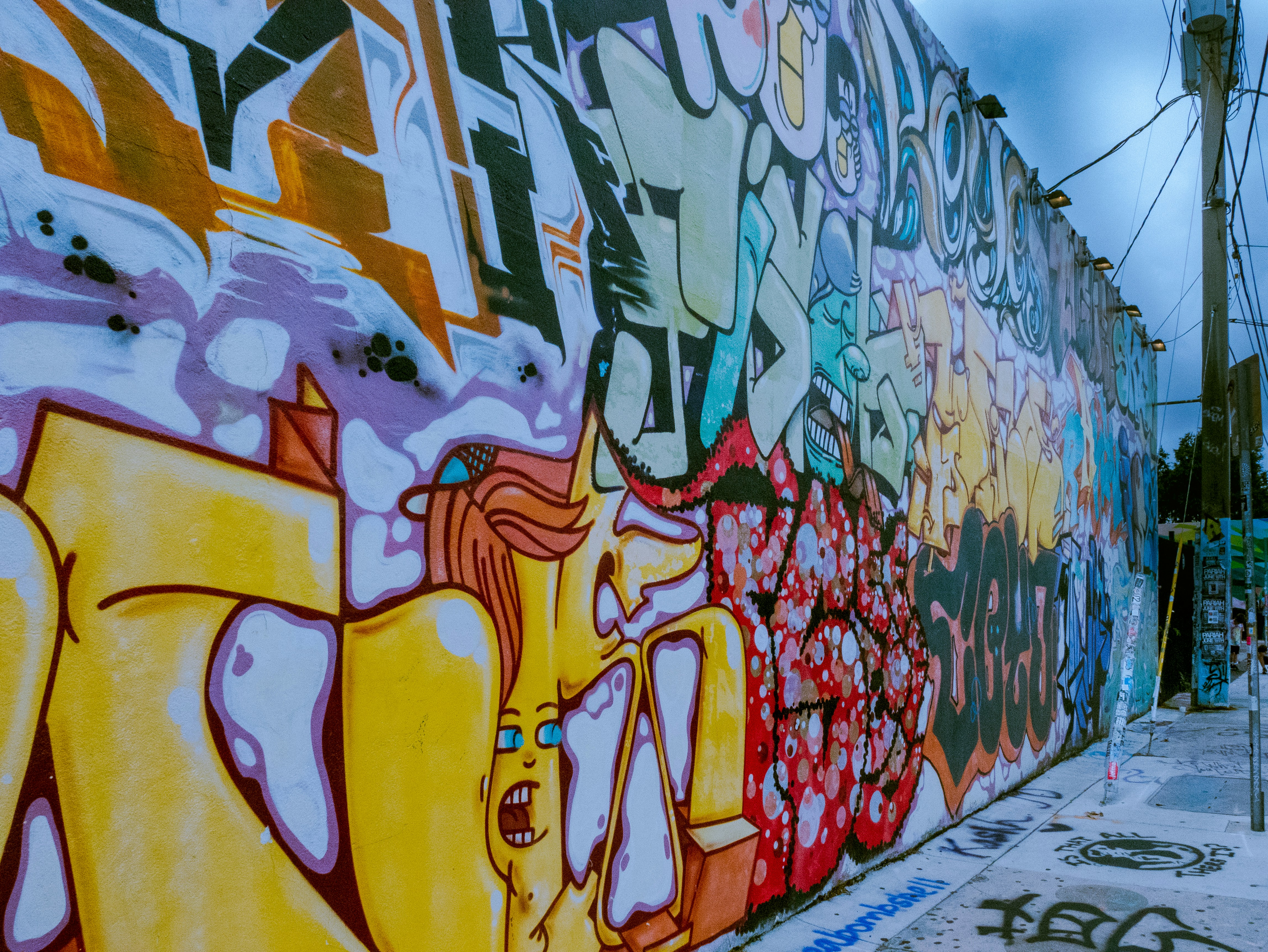 graffiti on wall during daytime, Wynwood Art Walls