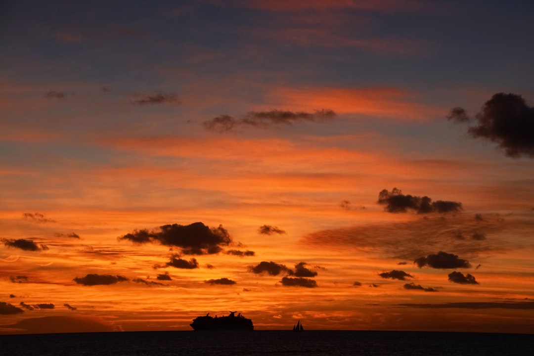 silhouette of people on beach during sunset