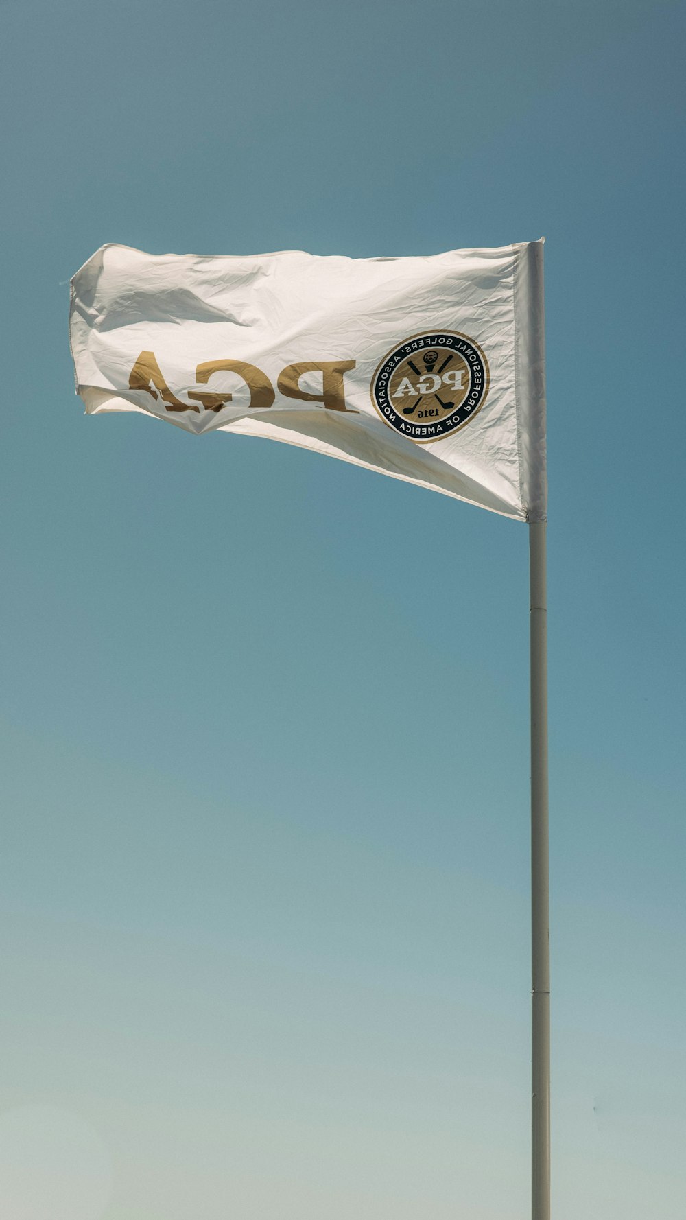 white and blue flag on pole during daytime