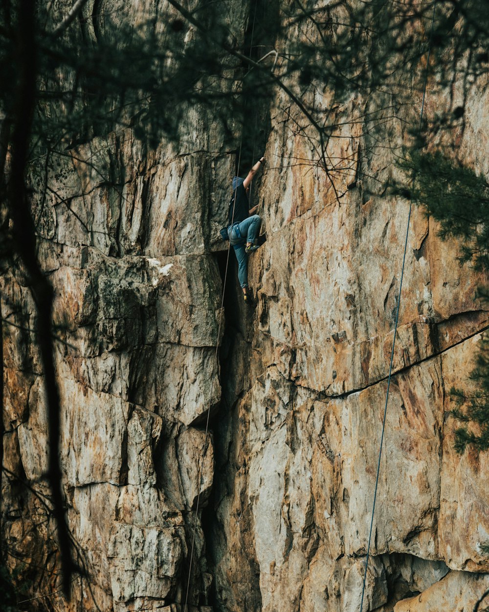 Frau im blauen Langarmshirt klettert auf braunen Baum