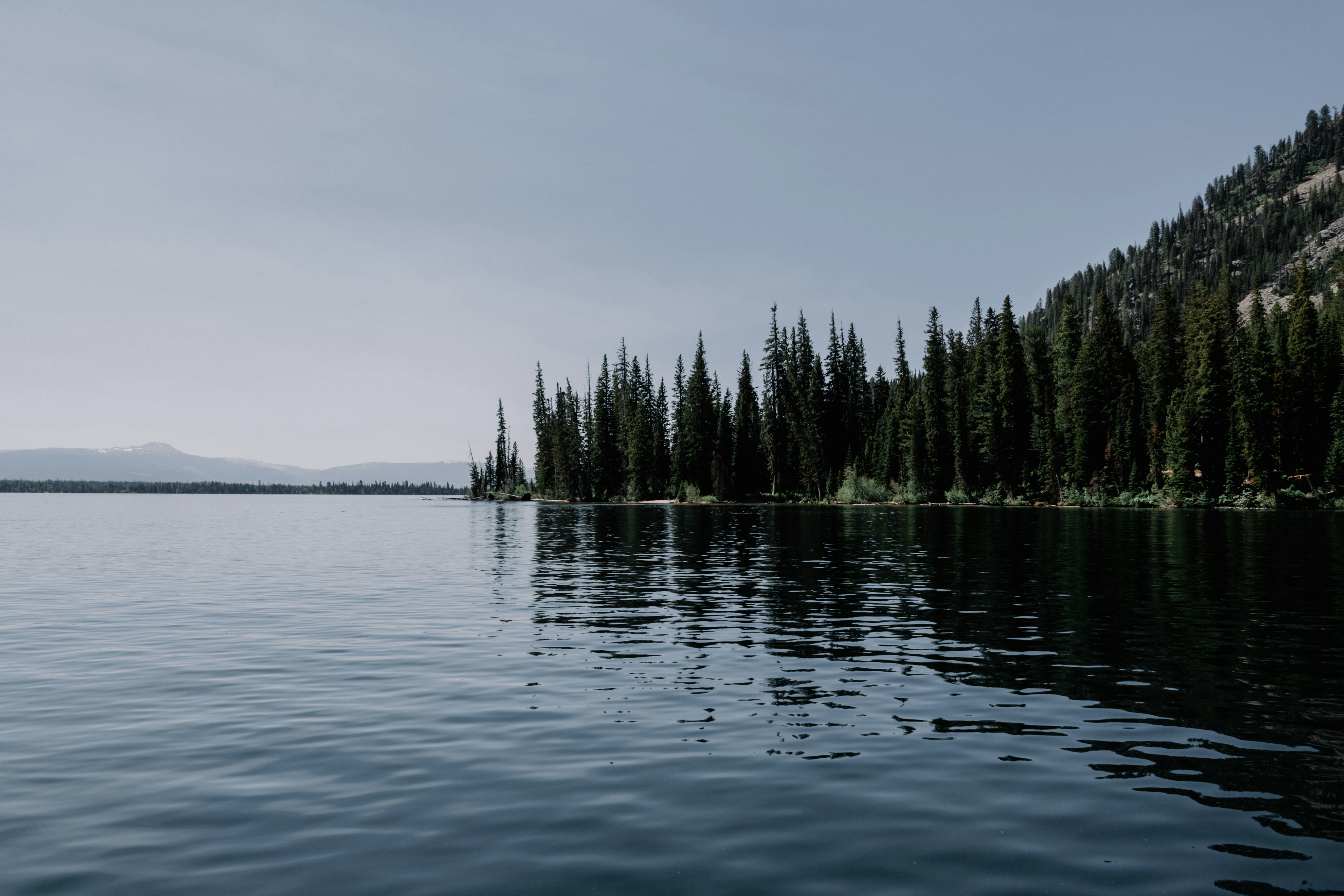 Photo by isaacmartin