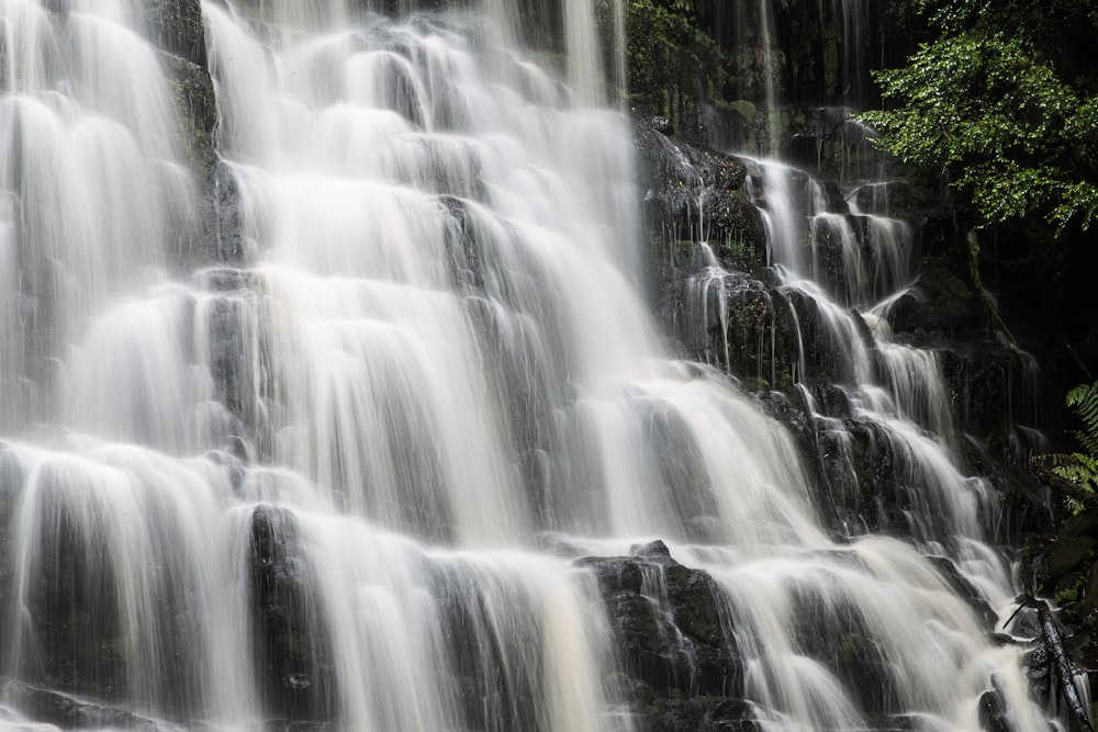 water falls in the forest