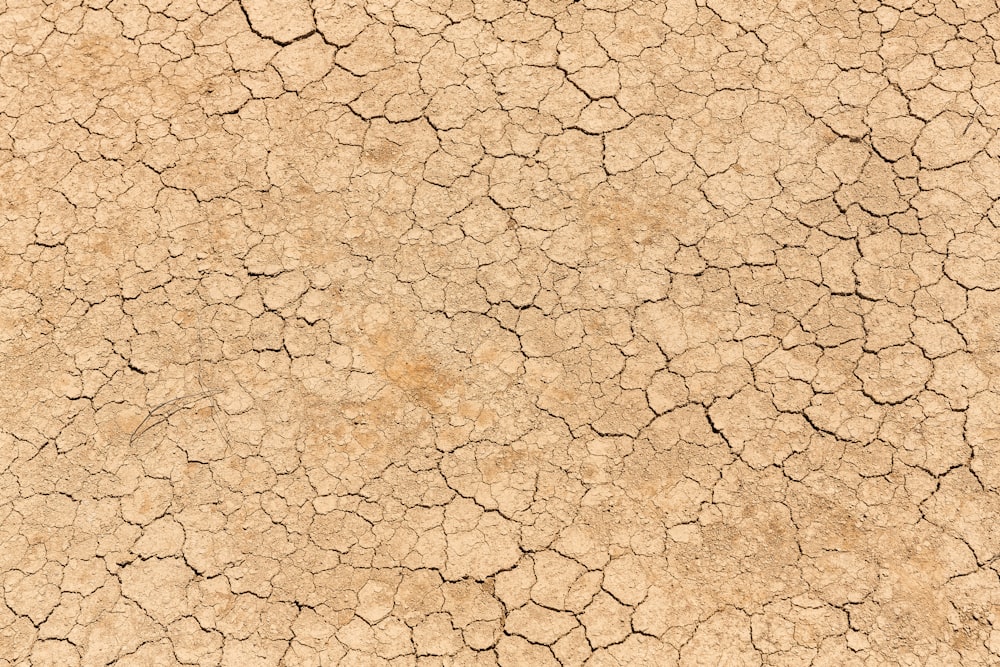 brown and white concrete floor